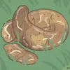 Poop Worm avatar