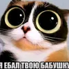 Gандон Чiгун avatar