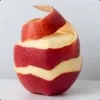 L2B avatar