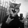 Wellye avatar