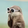 biccy avatar