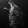OLIMP avatar