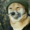 POPAS avatar