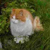 Savecowboybebop avatar