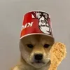 BingoDingo1 avatar
