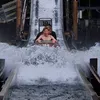 Schr0d3r avatar