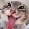NIKITA_BALTIKA67 avatar