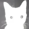 UwU avatar