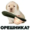 Temaked avatar