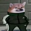 wujas avatar