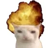 шат ап avatar