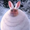 верокс avatar