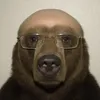 𝓐𝓿𝓲 avatar