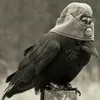 Eagron avatar