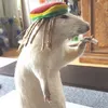Aesav avatar