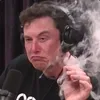 Elon Musk avatar