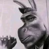 Musiskuski avatar