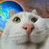 KORZHICK avatar