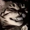 Criphyn avatar