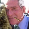 George W. Kush avatar