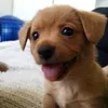 pablo avatar