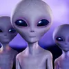 Eles Tão De Olho Em Nós Da Sil avatar