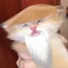 7SlernY avatar