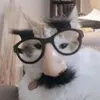 Dziabacz avatar
