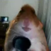 gerusez avatar