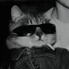 Feez avatar
