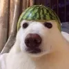 TOBI GIT avatar
