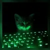 k1sle tablevv.com avatar