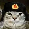 IchMachDichCurry avatar