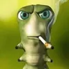 Tropikoren avatar
