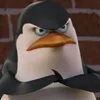 RedaVoi avatar