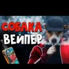 Собака вейпер avatar