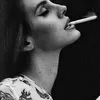 -Rabbit avatar