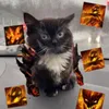 RyXi avatar