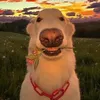 JohnBlink avatar