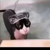 Gato bañera avatar