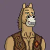 ShKuDim avatar