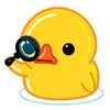 ievieris avatar