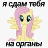 поняшка2010 avatar