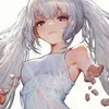 Skyflisety avatar