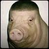 top text avatar