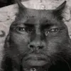 jerry avatar