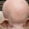 George avatar