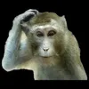 m1mgue avatar
