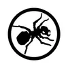 W1ze avatar