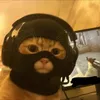 xd333 avatar